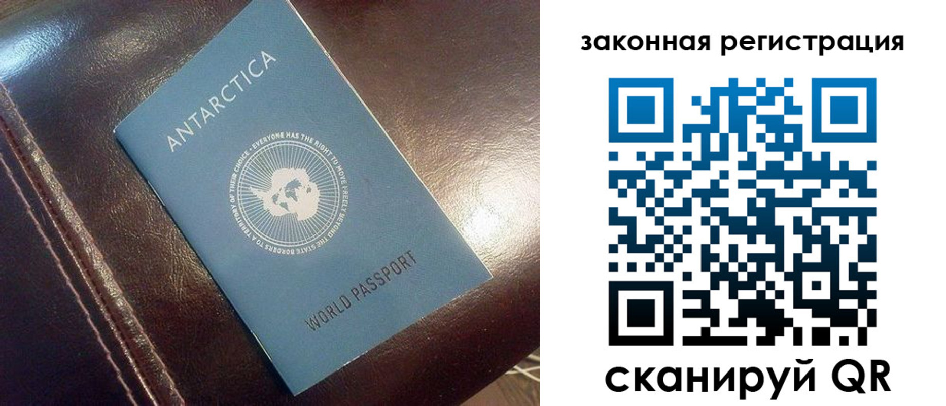 временная регистрация поиск в Красном Куте